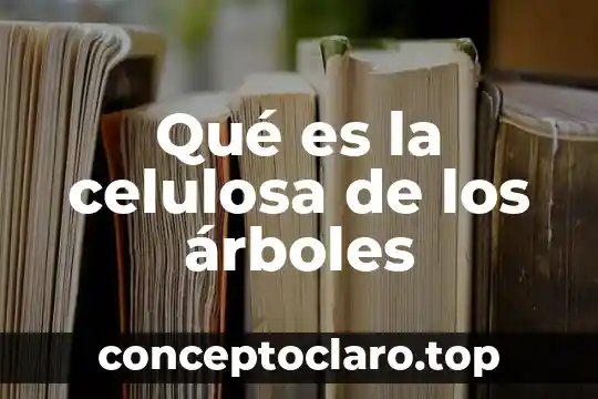 Qué es la celulosa de los árboles