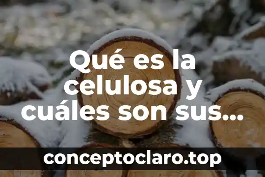 Qué es la celulosa y cuáles son sus funciones
