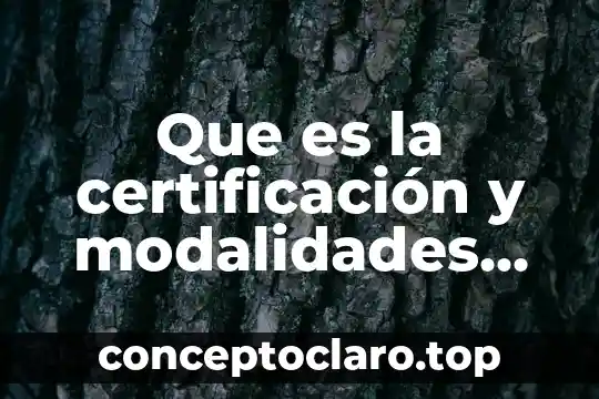 Qué es la violencia en el noviazgo 5 Que es la certificación y modalidades de la violencia