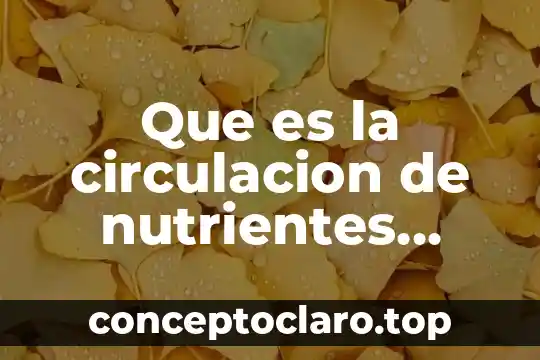 Que es lo que ayuda hacer circulación la sangre 8 Que es la circulacion de nutrientes yahoo