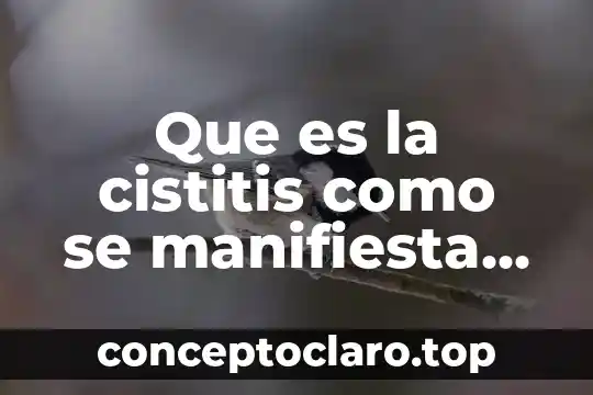 Que es el ritmo musical para niños 4 Que es la cistitis como se manifiesta en los niños