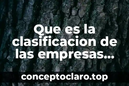 Que es la clasificacion de las empresas en estados unidos