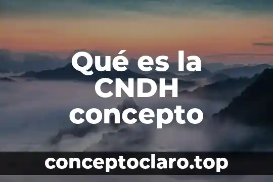 Qué es la CNDH concepto