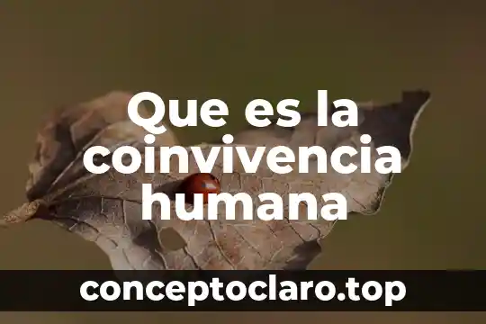 Allinurl herpes virus que es 6 Que es la coinvivencia humana