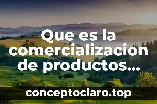 Apertura al capital y productos extranjeros que es 4 Que es la comercializacion de productos textiles