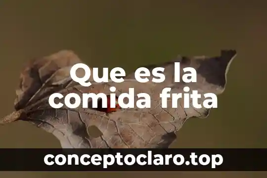 Que es la comida frita