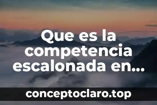 Qué es derecho amparo 5 Que es la competencia escalonada en amparo yahoo