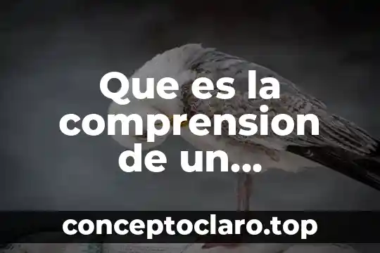 Que es la comprension de un concepto en logica
