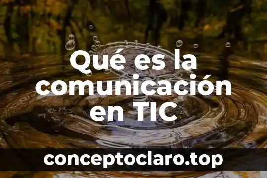 Que es una comunicacion interinstitucional 6 Qué es la comunicación en TIC