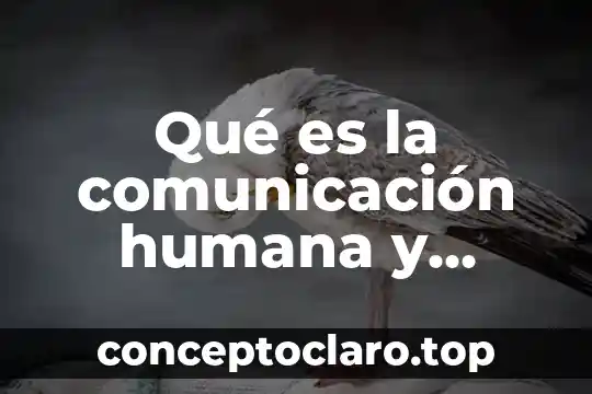 Qué es el número de convenio SAT 7 Qué es la comunicación humana y social
