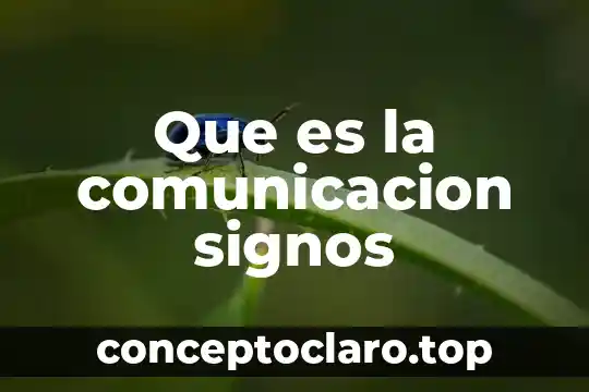 Que es la comunicacion signos