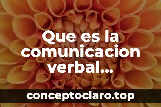 Que es la comunicacion verbal resumen