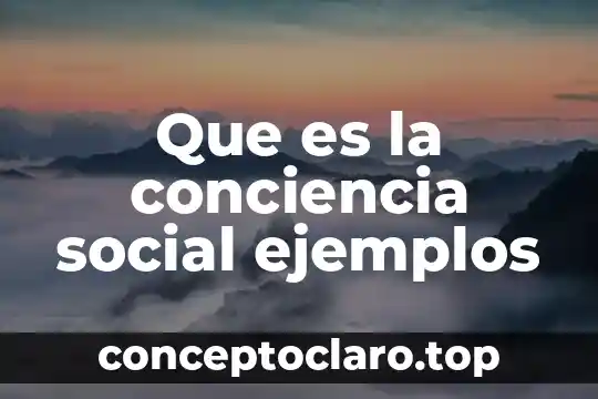 Que es un problema social frigerio 3 Que es la conciencia social ejemplos
