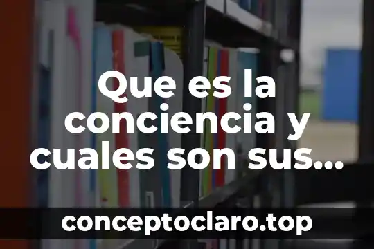 Que es la conciencia y cuales son sus tipos