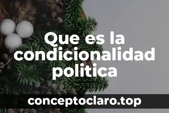 Que es la condicionalidad politica