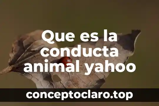 Que es lamb en animal 3 Que es la conducta animal yahoo