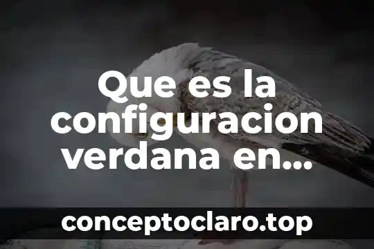 Qué es espaciado entre párrafos en Word 7 Que es la configuracion verdana en word