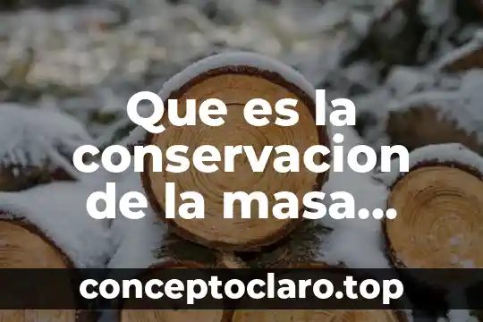 Que es dar trabajo a la masa en cocina 5 Que es la conservacion de la masa tipos