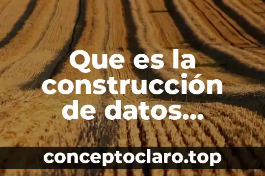 Que es la construcción de datos estadísticos