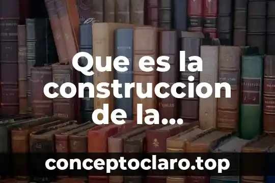 Que es la construccion de la informacion