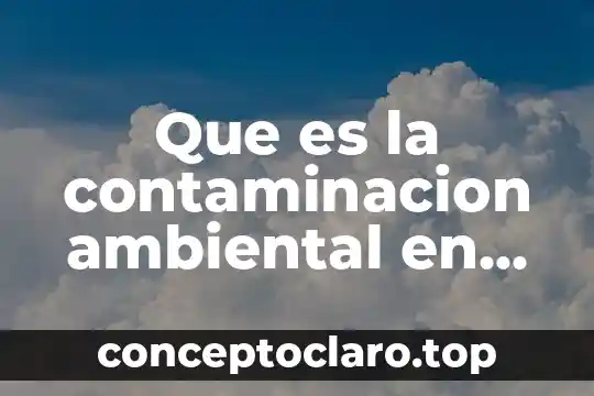 Que es la contaminacion ambiental en chetumal