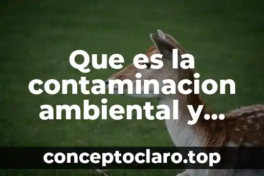 Que es la contaminacion ambiental y como se produce