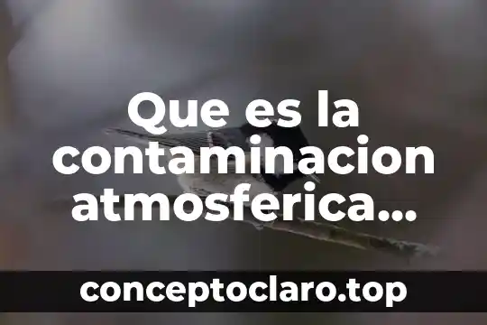 Que es la contaminacion atmosferica efectos de el ser humano