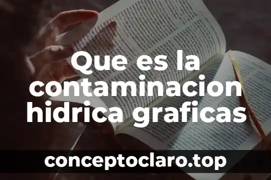Que es la contaminacion hidrica graficas