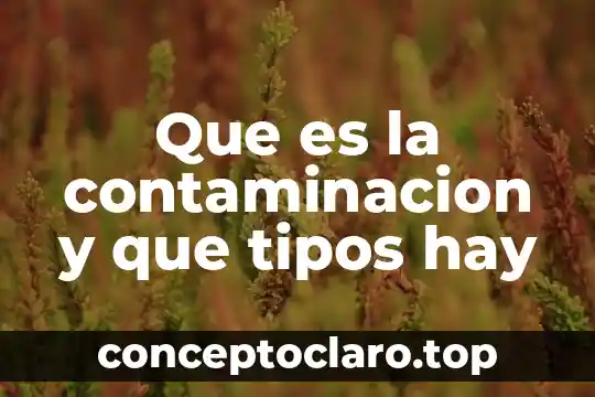 Que es la contaminacion y que tipos hay