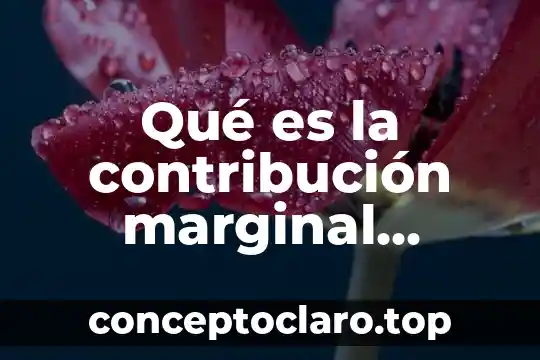 Qué es la contribución marginal definición