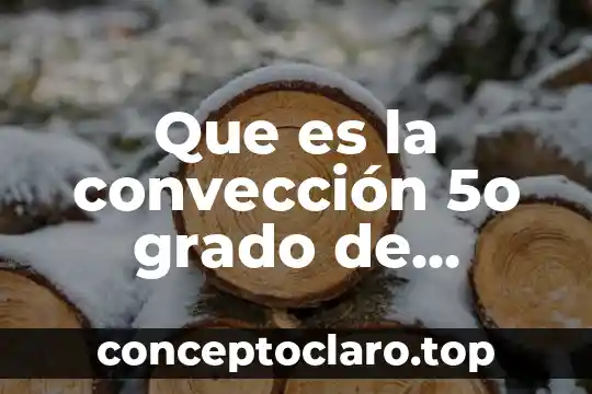 Que es la convección 5o grado de primaria