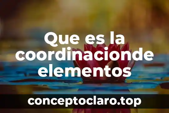 Que es la coordinacionde elementos