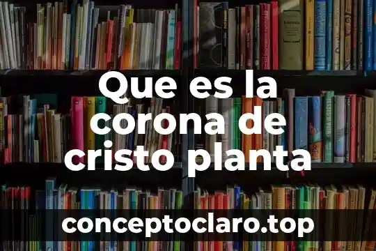 Qué es un layout de una planta 3 Que es la corona de cristo planta