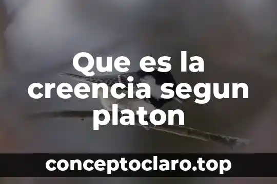 Que es la creencia segun platon