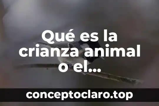 Qué es un animal pecane 7 Qué es la crianza animal o el mejoramiento animal