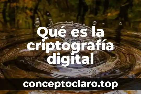 Qué es el número del certificado digital de la FEA 8 Qué es la criptografía digital