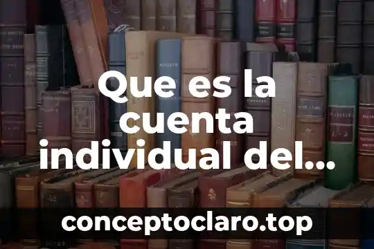 Que es la cuenta individual del seguro social