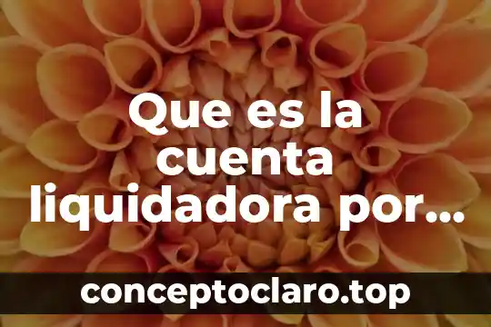 Que es un impacto en la cuenta 8 Que es la cuenta liquidadora por certificar