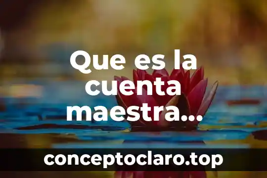 Que es la cuenta maestra banamex
