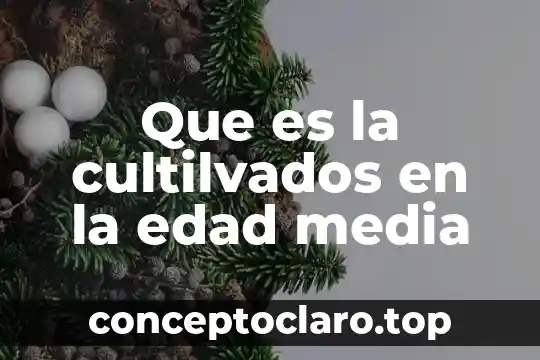 Que es la cultilvados en la edad media