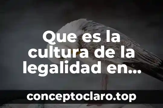 Que es la cultura del agua en mexico 5 Que es la cultura de la legalidad en méxico