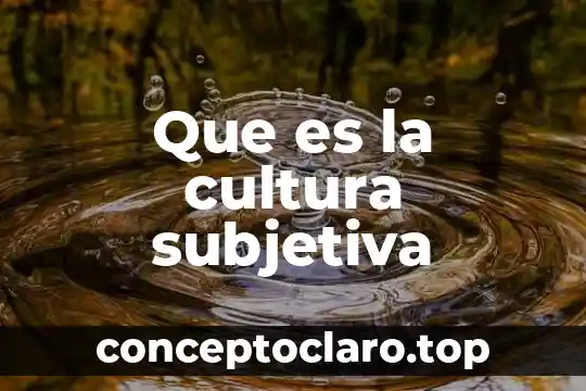 Que es la cultura subjetiva