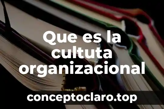 Que es una inpeecion judicial resumido 8 Que es la cultuta organizacional