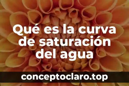 Qué es curva matemáticas 5 Qué es la curva de saturación del agua
