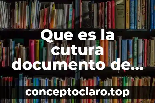 Qué es el número de documento único de identidad 8 Que es la cutura documento de aparecida