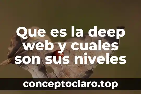 Que es el iso y cuales son sus partes clave 7 Que es la deep web y cuales son sus niveles