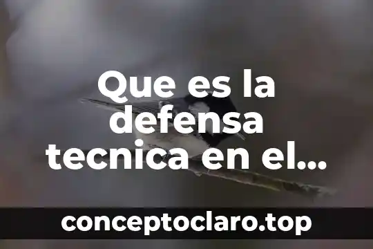 Que es la defensa tecnica en el proceso penal