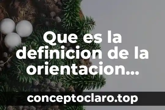 Que es la definicion de la orientacion sexual