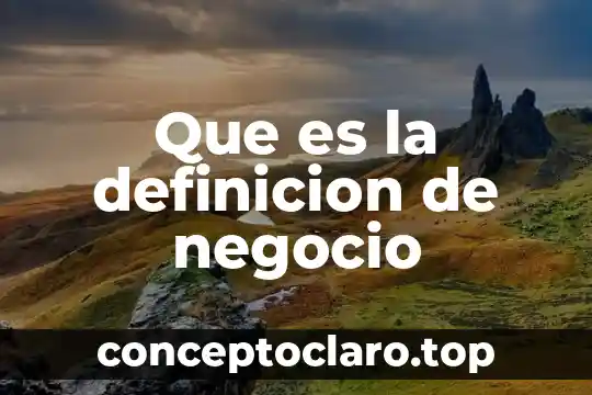 Que es la definicion de negocio