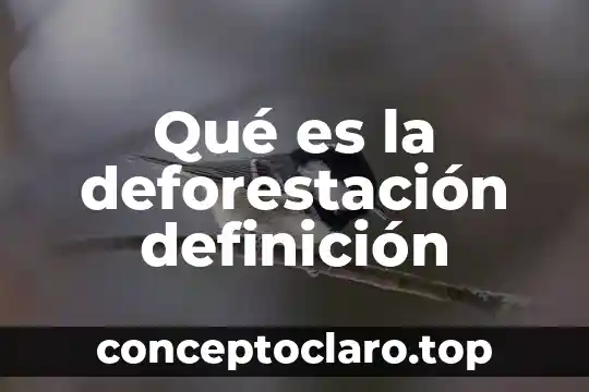 Qué es la deforestación definición